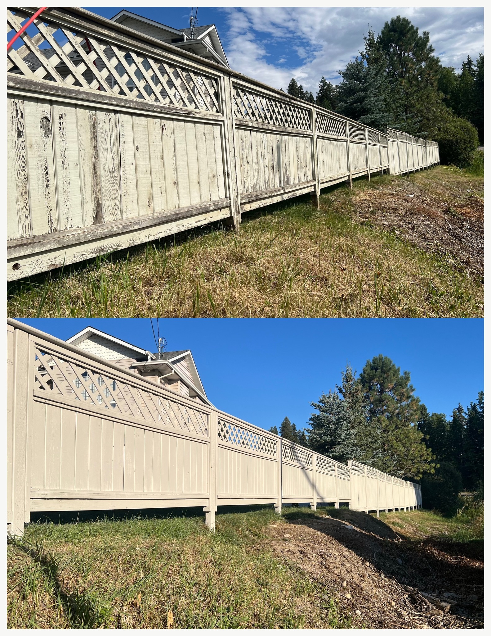 Long fence painting — old weathered panels to freshly painted