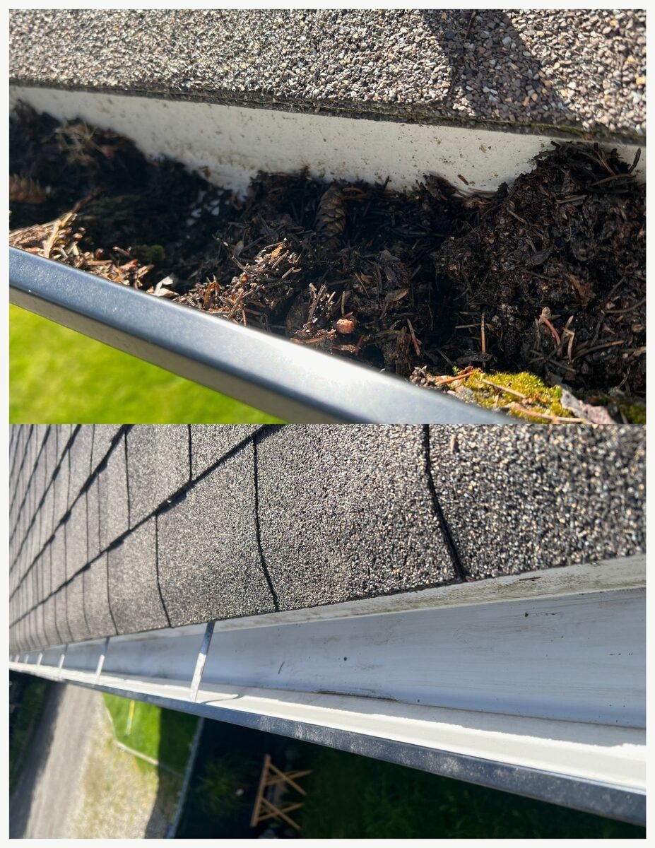 Gutter cleaning and roof moss removal Quesnel