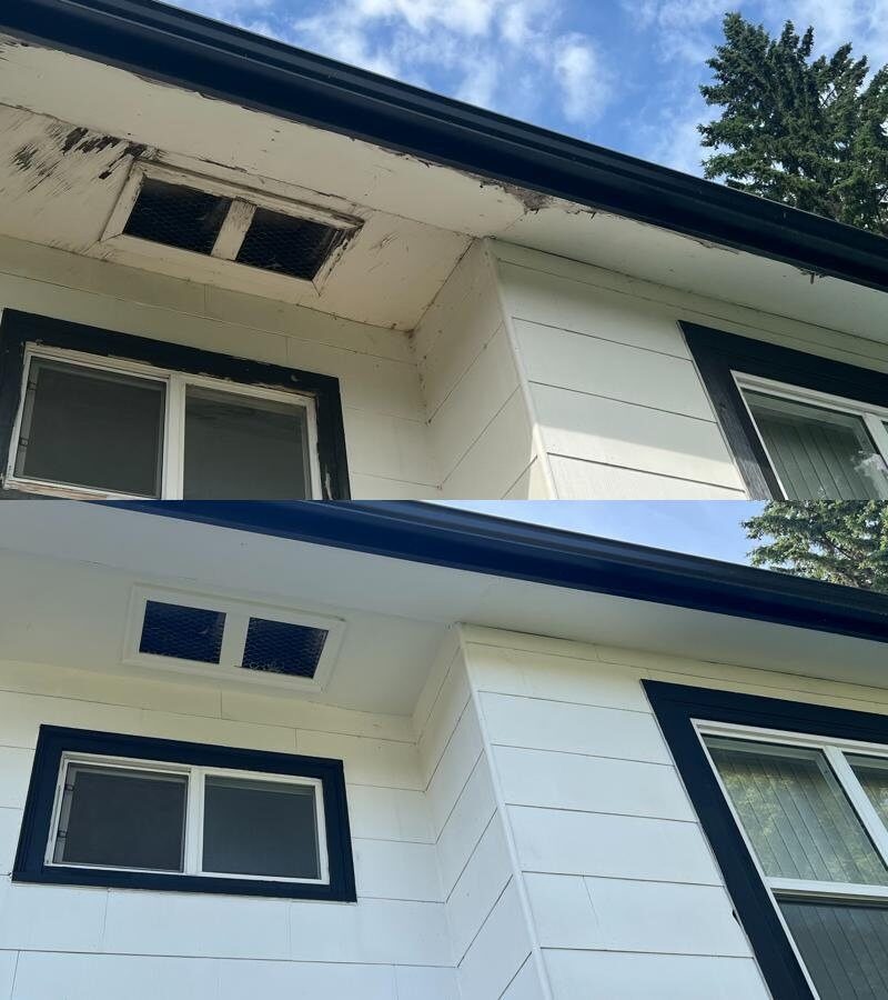 Fascia and soffit repair and painting
