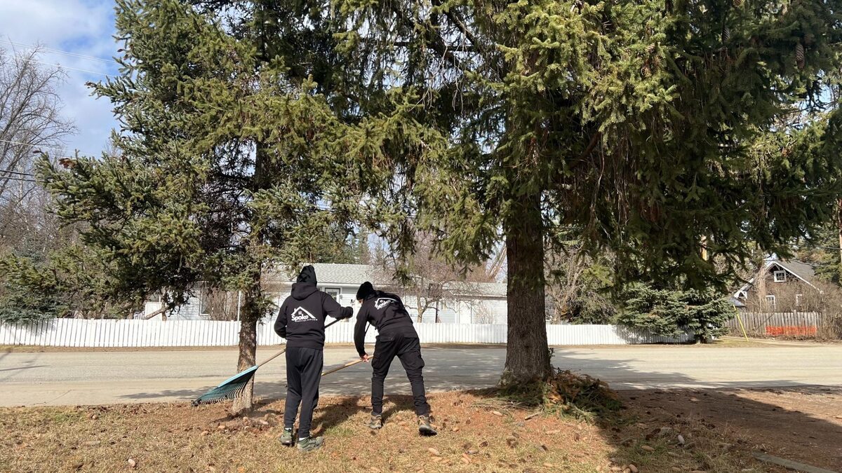 Team raking and yard cleanup